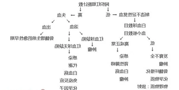 狗狗贫血知多少