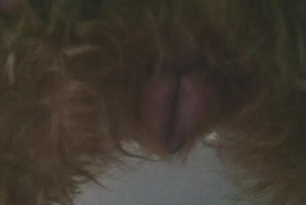 宠物私密之交配