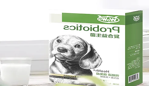 狗狗肠胃不好怎么调理，补充宠物益生菌拒绝“玻璃胃”