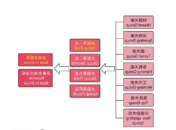 一篇成为繁殖者必学知识帖