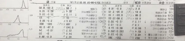 一例金毛犬的肠套叠整复术