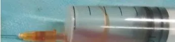 狗狗唾液腺囊肿切除案例