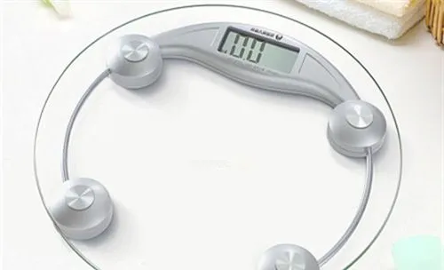 宠物猫肥胖的危害之如何减肥