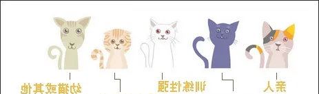 不是每只流浪猫都适合被圈养