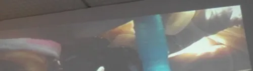 犬猫洁牙手术方法简介