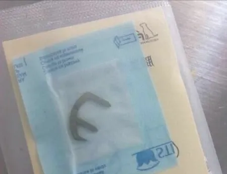 狗狗内侧髌骨脱位的症状及治疗