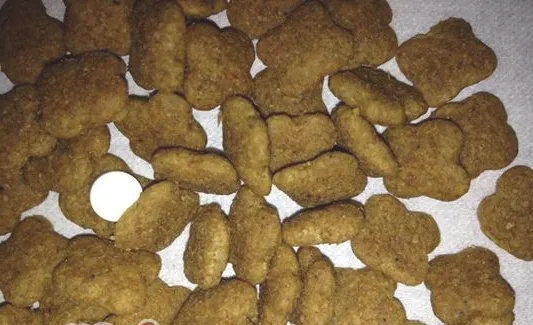 四招应对猫咪吃药难的问题