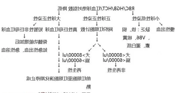 狗狗贫血知多少