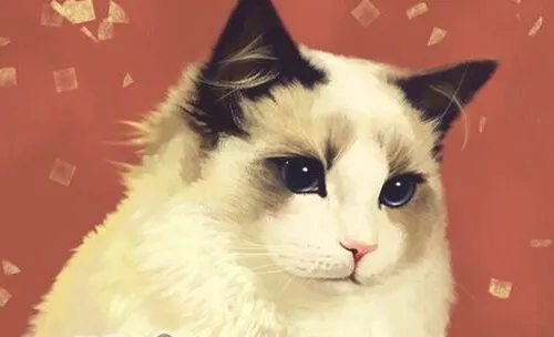 你们了解猫咪的语言吗