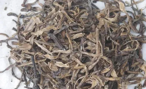 适宜猫咪的平肝明目药