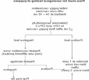 对于宠物免疫的新观念