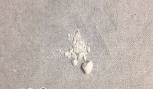 四招应对猫咪吃药难的问题