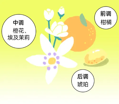 HS小香梳怎么样