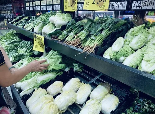 蔬菜价格或回落
