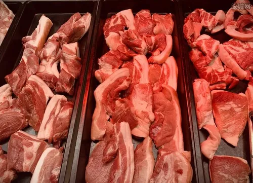 今年能否吃到便宜猪肉 下半年生猪恢复到正常水平