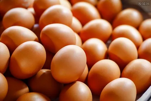 鸡蛋价格最新消息