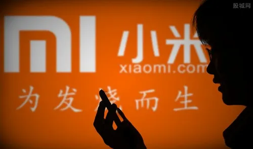 小米将增发10亿股 募集资金拓展业务？