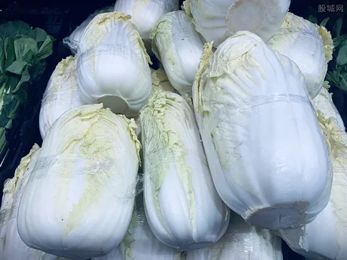 韩国白菜价格高