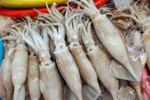 选购海鲜要注意这些问题