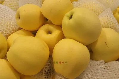 延庆国光苹果-延庆区特产延庆国光苹果