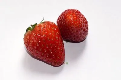 昌平草莓-昌平特产昌平草莓