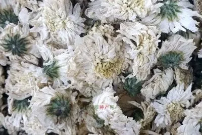 丰台菊花-丰台区特产丰台菊花