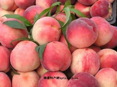 刘家店镇大桃-平谷区特产刘家店镇大桃