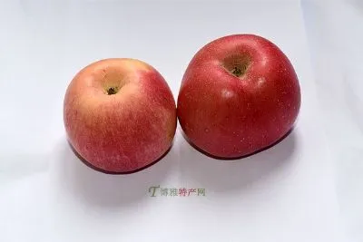 成安艺术苹果-成安县特产成安艺术苹果
