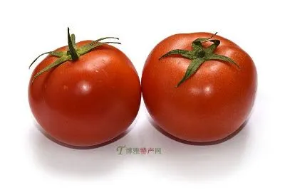 茶棚西红柿-抚宁区特产茶棚西红柿