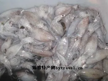滦南墨鱼-滦南县特产滦南墨鱼