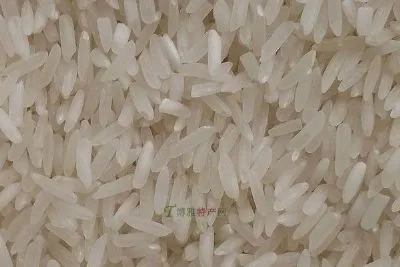 唐海大米-曹妃甸区特产唐海大米
