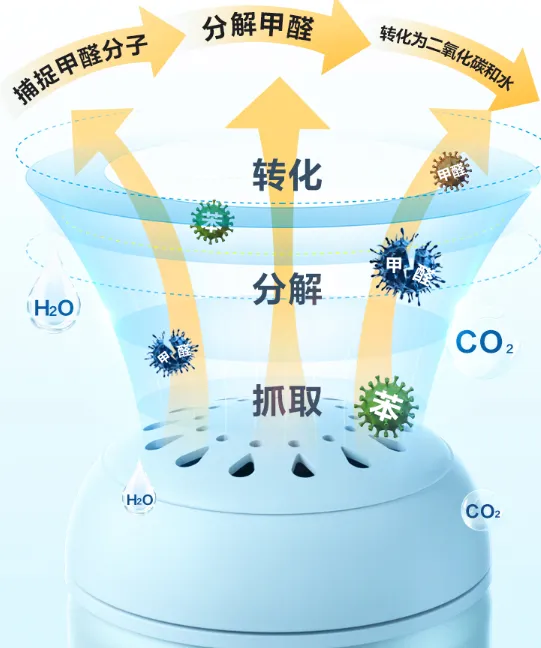 西兰除甲醛管用吗