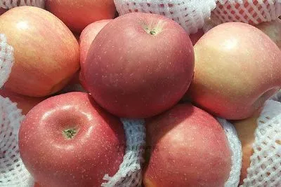 三十里堡苹果-普兰店特产三十里堡苹果
