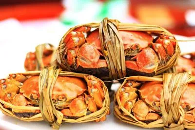 红夹子蟹-绥中特产红夹子蟹