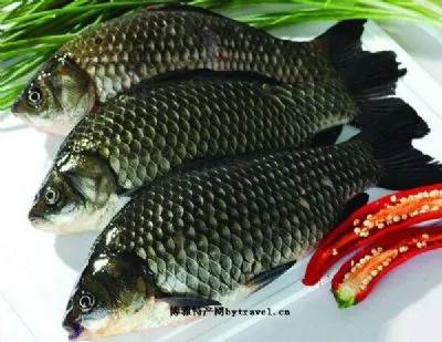 大伙房水库鲤鱼-东洲区特产大伙房水库鲤鱼