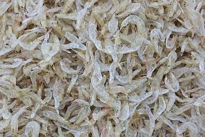 旅顺海虾米-旅顺口区特产旅顺海虾米