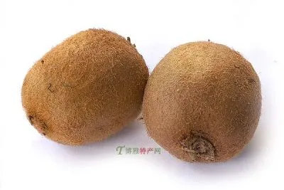 弥猴桃-明山区特产弥猴桃