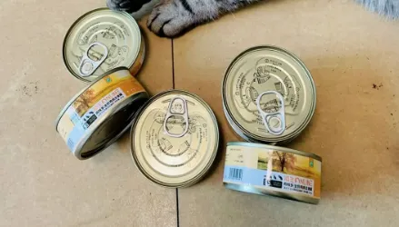 猫生主食罐好吗