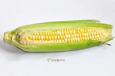 速冻甜粘玉米-洮北区特产速冻甜粘玉米