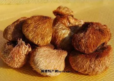 通化-猴头蘑-二道江区特产通化-猴头蘑