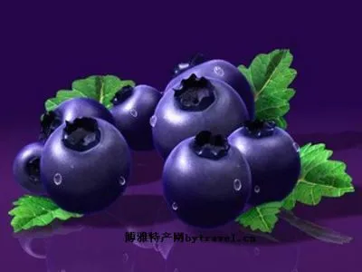 长白山蓝莓-长白县特产长白山蓝莓