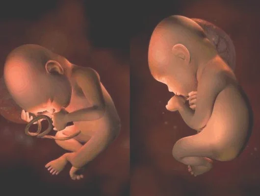 孕妇初次胎动是什么感觉