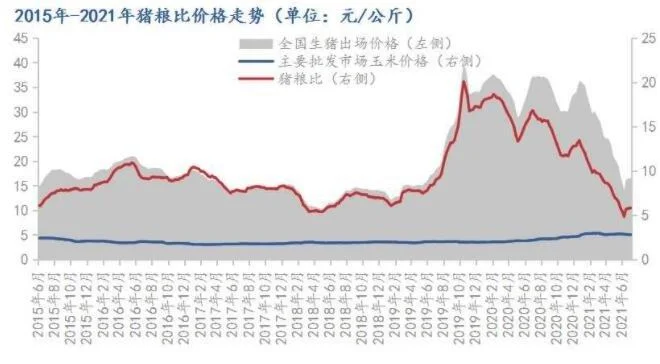 粮价猪价走势如何？专家：未来一段时间内或将维持高位运行