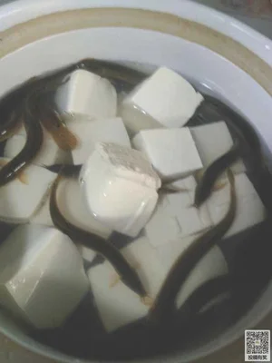 泥鳅炖豆腐的做法步骤5
