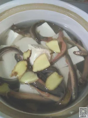泥鳅炖豆腐的做法步骤6