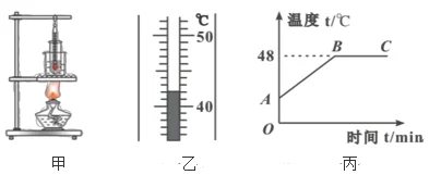 烟台金叶女贞苗木怎么种植（金叶女贞移栽注意事项）