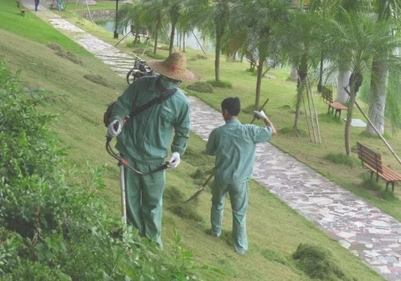 6、病虫防治