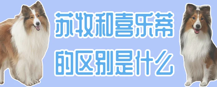 苏牧和喜乐蒂的区别是什么(喜乐蒂和苏牧的区别)