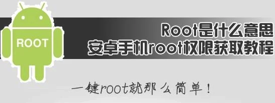 root什么意思(root什么意思中文翻译)