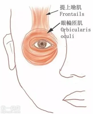 闭一只眼睛脸部肌肉跳动,你相信吗？